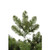 Vickerman G125518LED 9 ft Green Grand Teton Garland Warm White LED