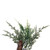  Vickerman FQ224172 – 6 ft Natural Snow Cedar Hanging Garland – Unlit 