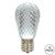  Vickerman XLEDS19-10 – Pure White LED Replacement Light Bulb – 10 Pack 