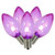 Vickerman XLEDTC76-25 - C7 Purple LED Replacement Light Bulb - 25 Pack