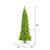  Vickerman K168555 - 5.5' Flocked Lime Pencil Fir Artificial Christmas Tree Unlit 