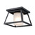 Trans Globe 51395 BK Flush Mount