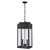 Trans Globe 51526 BK Marley Outdoor Hanging Lantern