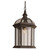 Trans Globe 4183 RT Wentworth 1-Light Atrium Style Outdoor Hanging Pendant
