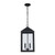 Trans Globe 51537 BK Storm 2-light Hanging Lantern