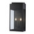 Trans Globe 51522 BK 2-Light Marley Outdoor Wall Sconce