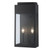 Trans Globe 51521 BK 2-Light Marley Outdoor Wall Sconce