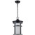 Trans Globe 40385 BK-FR Avalon 1 - Light Outdoor Hanging Pendant Light with Open Base