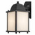 Trans Globe 40455 BK-FR Patrician 1-Light, Ring Top ,Clear Glass Open Base Square Wall Lantern