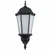 Trans Globe 4250 BK-FR San Rafael 1 0 Light 23" Wall Lantern