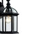 Trans Globe 4181 BK Wentworth 15.75" Wall Lantern