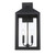 Trans Globe 51532 BK Storm 2-light Outdoor Wall Light