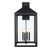 Trans Globe 51534 BK Tempest - Black 4-Light Outdoor Wall Light - Clear Glass