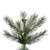 Vickerman A118196LED 15' x 80" Cashmere Slim LED 2650WW