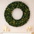 Vickerman A808860LED 60" Douglas Fir Wreath 900T LED 400WW