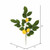 Vickerman FK170701-4 20" Green Salal Leaf Lemon Spray 4/Pk