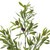 Vickerman FK170802-3 26" Green Olive Leaf Spray 3/pk