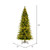 Vickerman K186293LEDCC 12' x 65" Balsam Spruce 3mm LED 2850CC