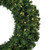 Vickerman A808836LED 36" Douglas Fir Wreath LED 100WW