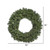 Vickerman A808836LED 36" Douglas Fir Wreath LED 100WW