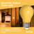 Bulbrite 776107 – A19 LED Bug Light Bulb – Yellow Filament - Wet Rated