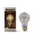 Bulbrite 136020 - 60W A19 Nostalgic Loop Bulb - 2200K - E26 Dimmable
