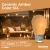 Bulbrite 776151 LED2S14/AMB/FIL/D - Amber LED S14 Filament Bulb