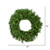 Vickerman A801043LED 42" Cheyenne Pine Wreath LED 150WW