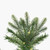 Vickerman K224078LED 7.5ft Douglas Fir Christmas Tree with Lights