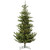Vickerman G160281LED 9ft Alberta Spruce Christmas Tree with Lights