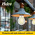Halco 82533 - Filament A19 LED Lamp - CCT Selectable - E26 Dimmable