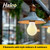 Halco 82546 - LED Filament A19 Lamp - 2700K - E26 Base, Dimmable