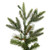 Vickerman A101865 6' x 42" Shawnee Fir 708Tips