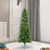 Vickerman A103046LED 4.5' x 24" Salem Pencil Pine LED 200WW