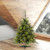 Vickerman A118231LED 3' x 29" Cashmere Pine LED 100WW