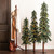 Vickerman A805184LED 4' 5' 6' Natural Alpine Set LED 450WW