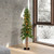 Vickerman A805151LED 5' x 28" Natural Alpine 475T LED 150WW