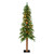 Vickerman A805151LED 5' x 28" Natural Alpine 475T LED 150WW