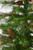 Vickerman A807560 6' x 41" Ashland 741 Tips Pine Cones