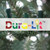 Vickerman B907351LED 5' x28" Natural Bark Alpine DuraL 150WW
