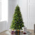 Vickerman DT214268LEDCC 6.5' x 48" Jersey Fraser Fir LED 500CC