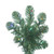 Vickerman C164087LED 9.5' x 47" Oregon Slim WA LED 900MU