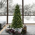 Vickerman DT211367LED 6.5' x 39" Southern Spruce DuraL 500MU