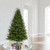 Vickerman G125176LED 7.5' x 56" Med Grand Teton WA LED 750WW