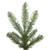 Vickerman G160261LED 6ft Alberta Spruce Christmas Tree with Lights