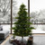 Vickerman G204276LED 7.5' x 67" Sherwood Fir Dura-Lit 800WW
