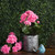 Vickerman FL170501 15.25" Pink Geranium Bush