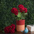 Vickerman FQ173101-4 18" Red Geranium Bush 4/Pk