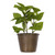 Vickerman FE192206 7" Green Potted Herbs Assort 3/pk