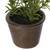 Vickerman FE192206 7" Green Potted Herbs Assort 3/pk